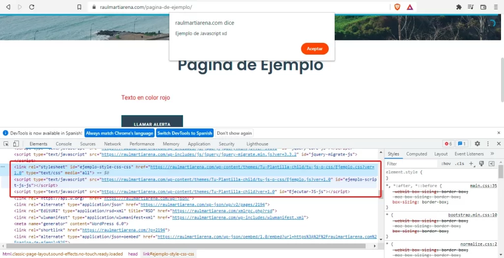 Vista del editor de functions.php con el código pegado y resaltado
