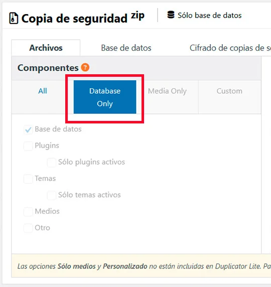 Duplicator mostrando opción de importar solo la base de datos en WordPress